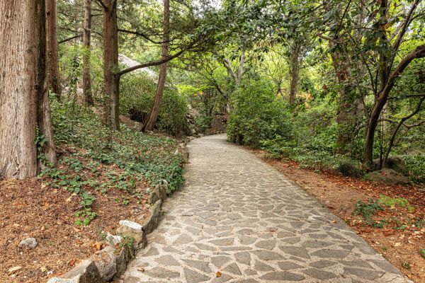 Stone Walkway Repair in Annapolis