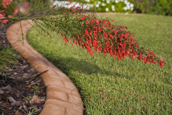 Brick Edging in Annapolis