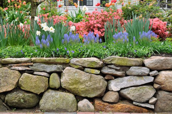 Stone Wall Hardscaping in Annapolis