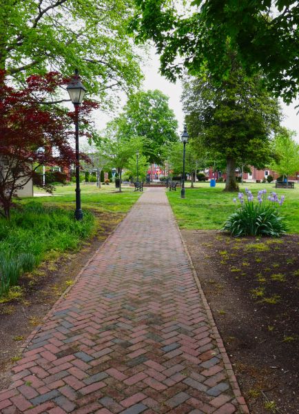 Brick Pathway Repair in Annapolis