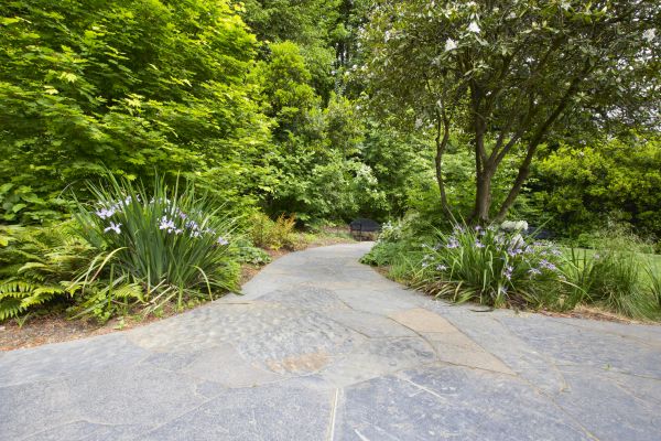 Stone Hardscape Service in Annapolis