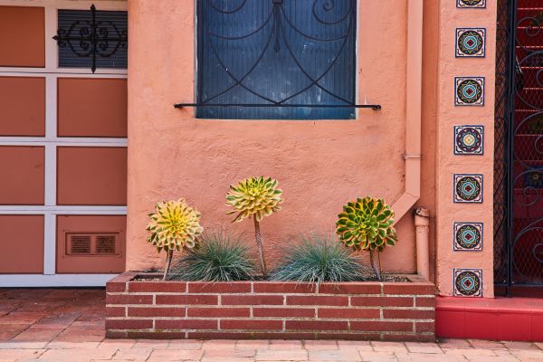 Brick Planter Installation in Annapolis