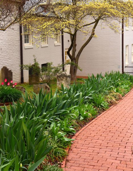 Brick Flatwork Repair in Annapolis